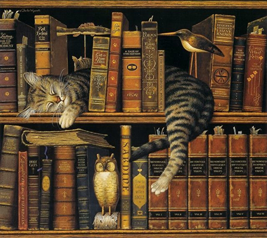Kitap